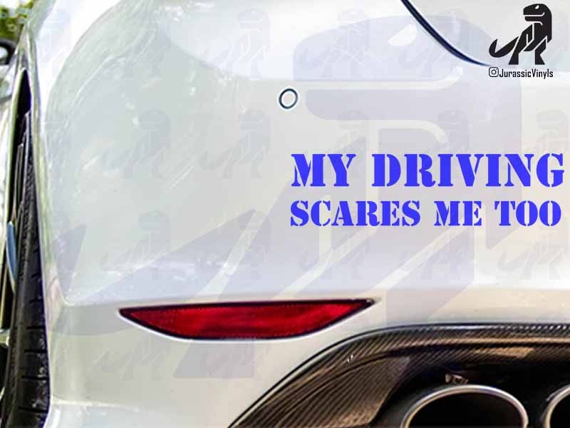 My Driving Scares Me To